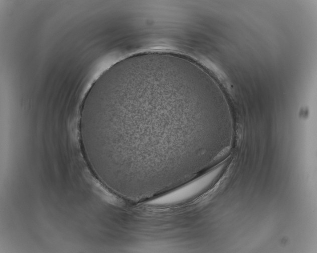 X0000094441374200711151355