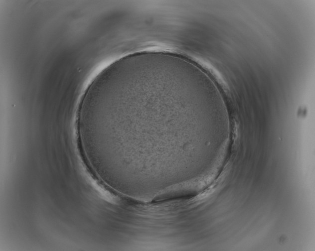 X0000094441375200711151355