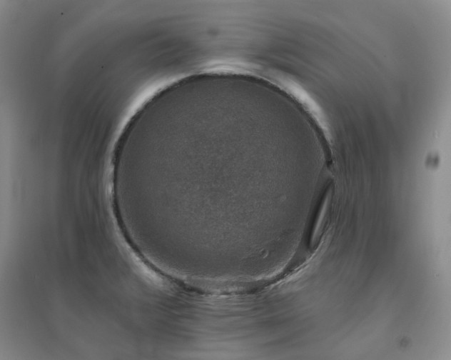 X0000094441376200711151355