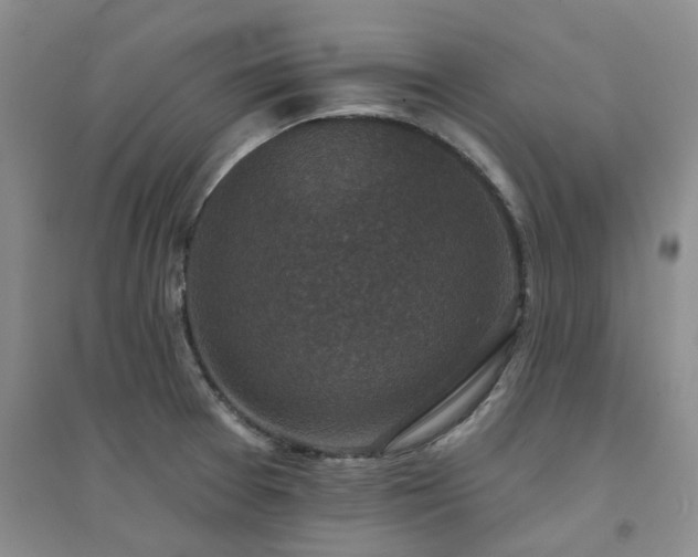 X0000094441377200711151355