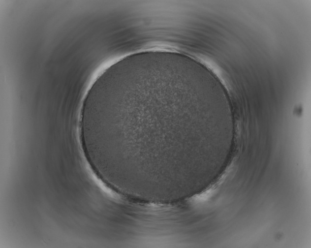 X0000094441379200711151355