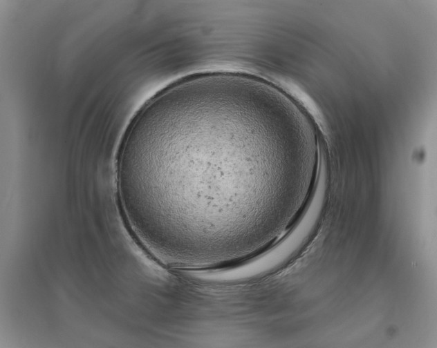X0000094441380200711151355