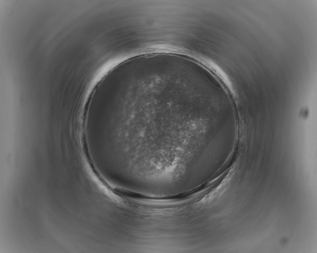 X0000094441381200711151355