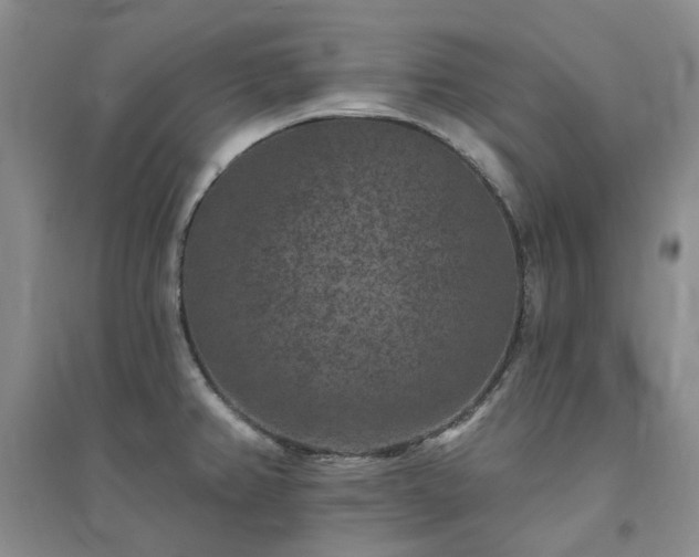 X0000094441382200711151355