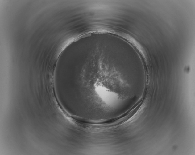 X0000094441385200711151355