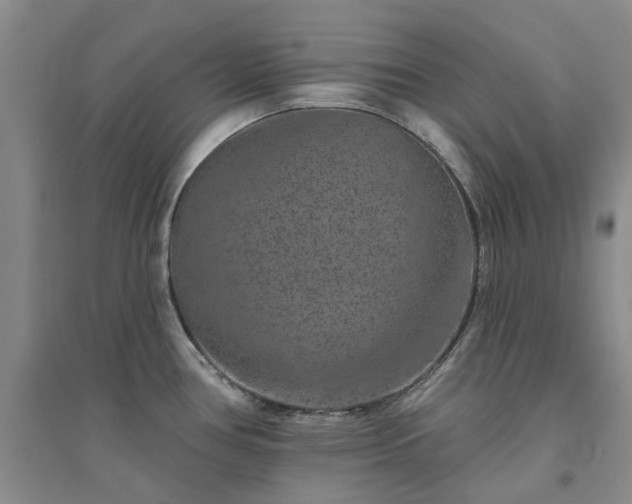 X0000094441386200711151355