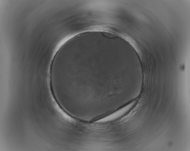 X0000094441387200711151355