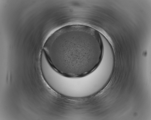 X0000094441388200711151355
