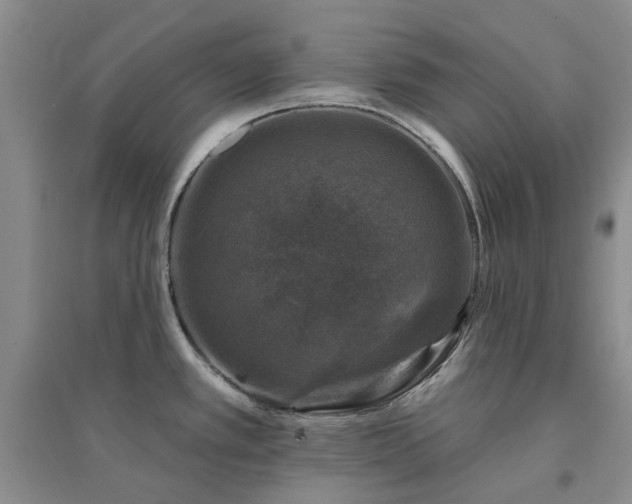 X0000094441389200711151355