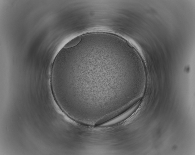 X0000094441390200711151355