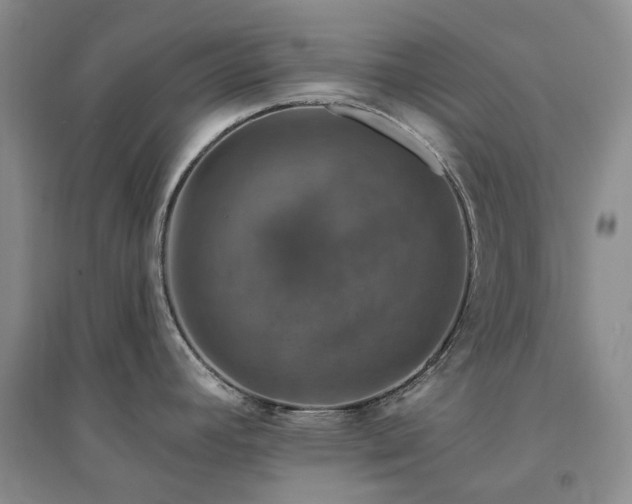X0000094441392200711151355