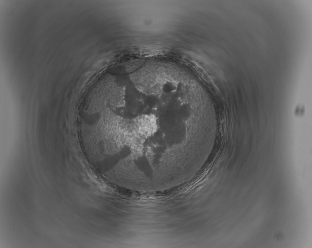 X0000094441393200711151354