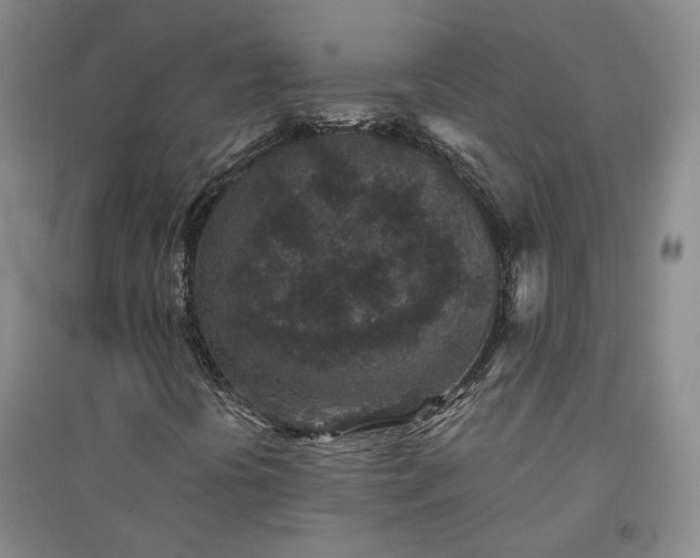 X0000094441394200711151354