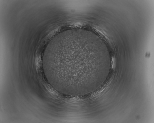X0000094441395200711151354