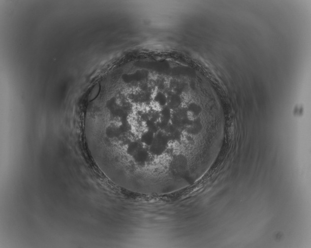 X0000094441397200711151354