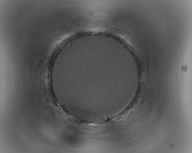 X0000094441398200711151354