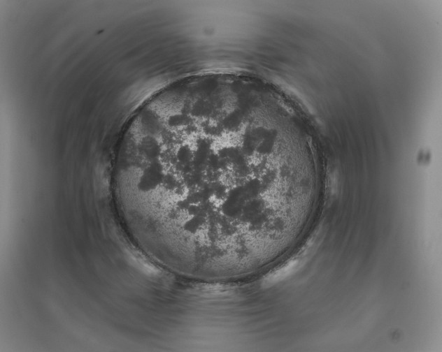 X0000094441401200711151354