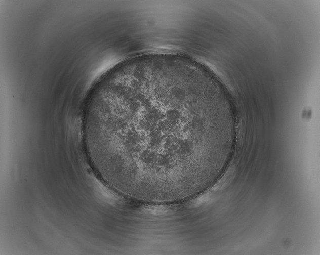 X0000094441402200711151354