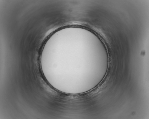 X0000094441404200711151354