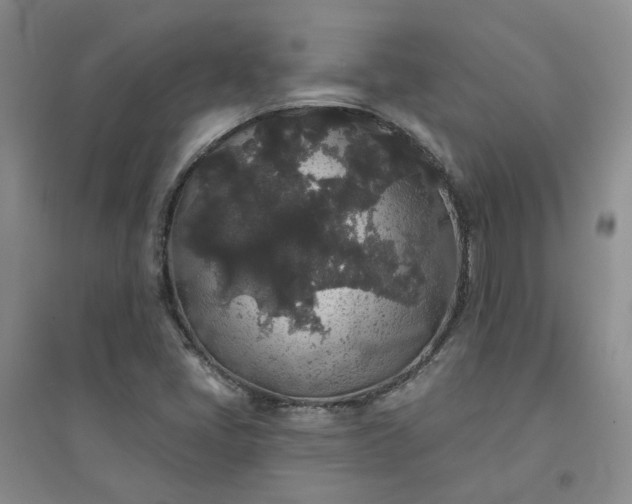 X0000094441405200711151354