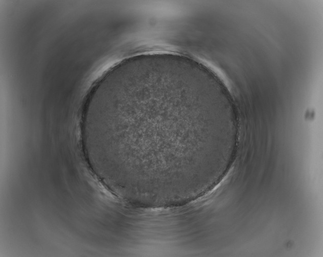 X0000094441407200711151354
