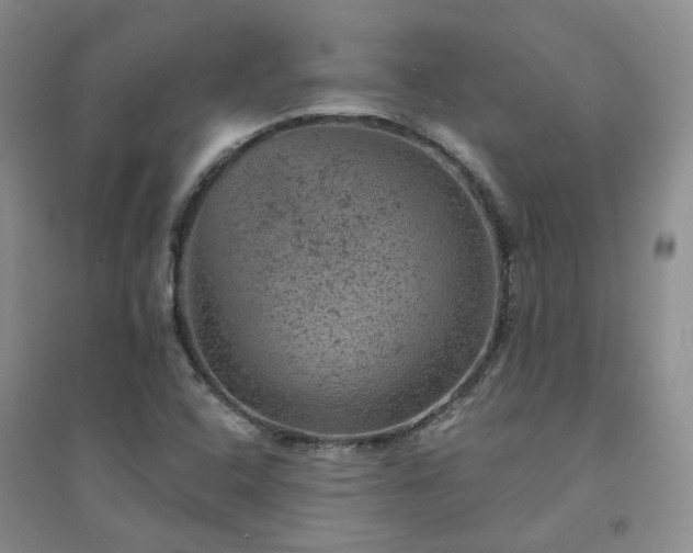 X0000094441408200711151354