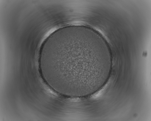 X0000094441410200711151354