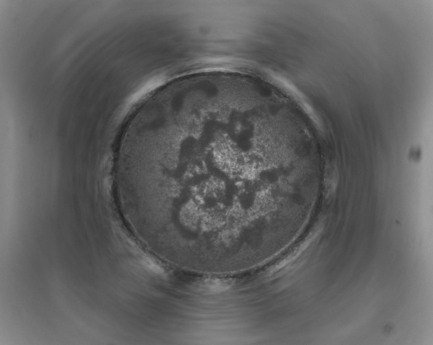 X0000094441411200711151354