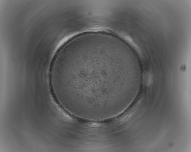 X0000094441412200711151354