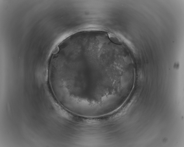 X0000094441413200711151354