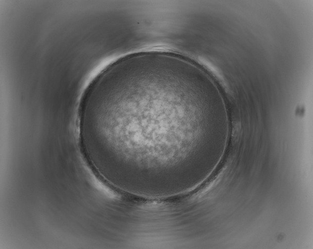 X0000094441414200711151354