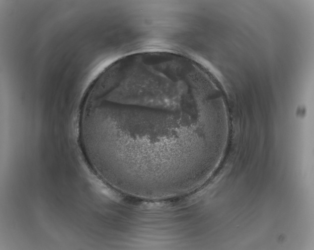 X0000094441415200711151354
