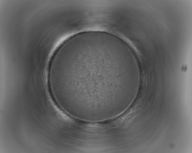 X0000094441416200711151354