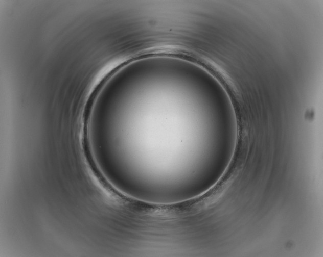 X0000094441418200711151354