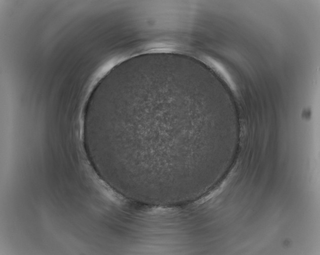 X0000094441419200711151354