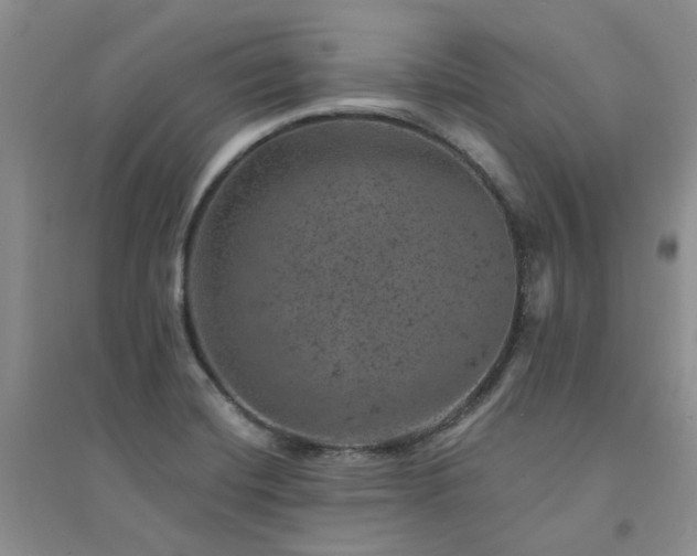 X0000094441420200711151354