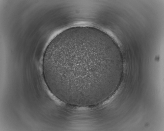 X0000094441421200711151354