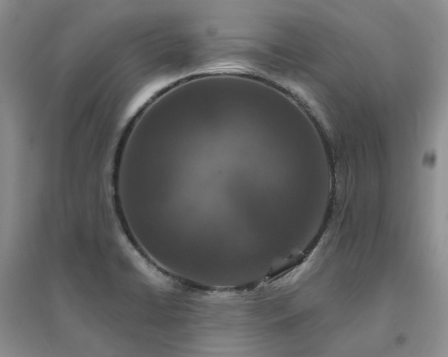 X0000094441422200711151354