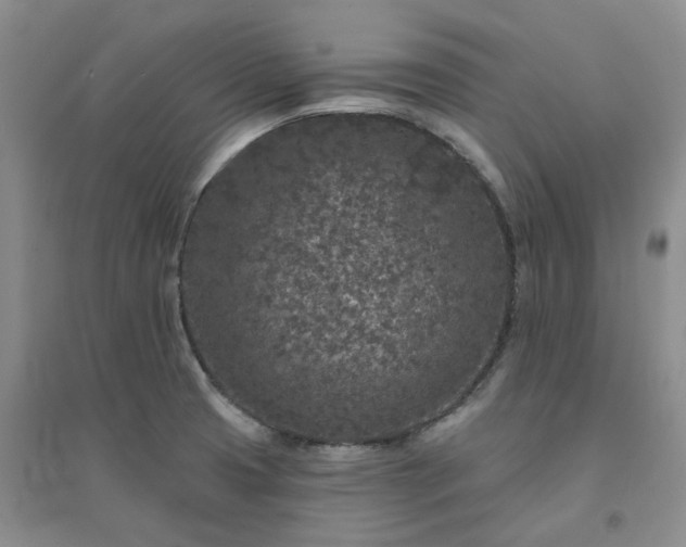 X0000094441425200711151354