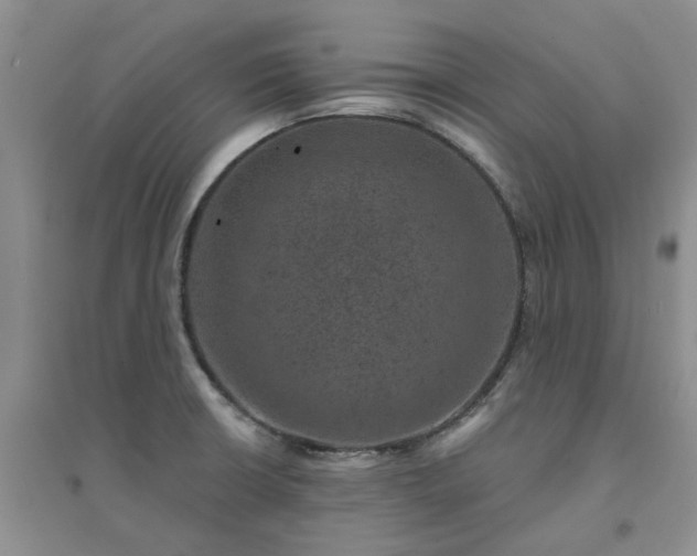 X0000094441426200711151354