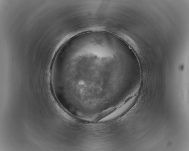 X0000094441428200711151354