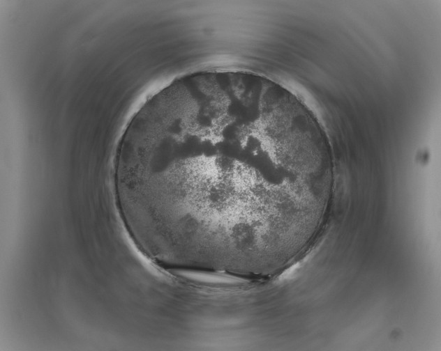 X0000094441429200711151354