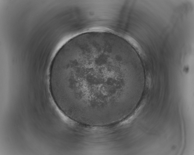 X0000094441430200711151354