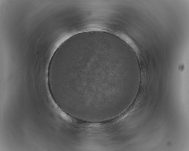 X0000094441431200711151354