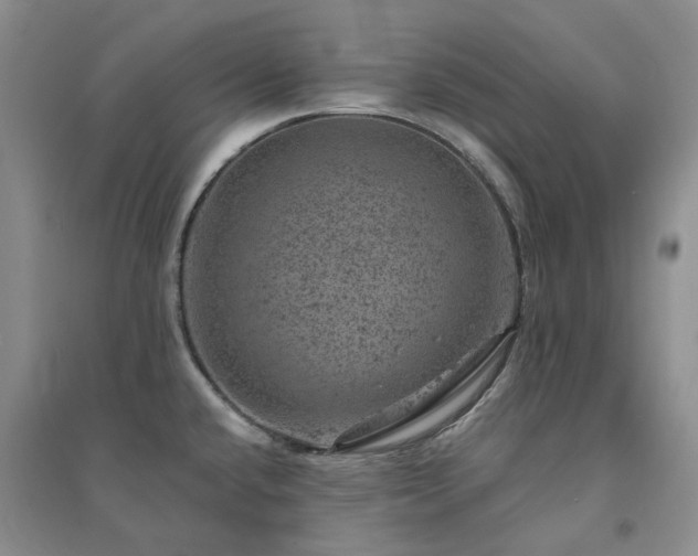 X0000094441432200711151354