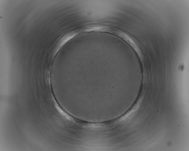 X0000094441433200711151354