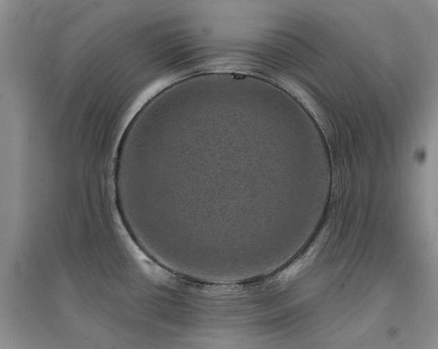 X0000094441434200711151354