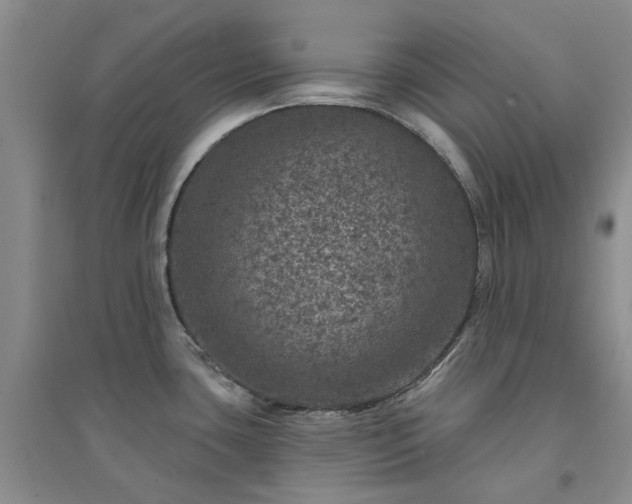 X0000094441435200711151354