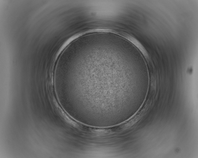 X0000094441436200711151354