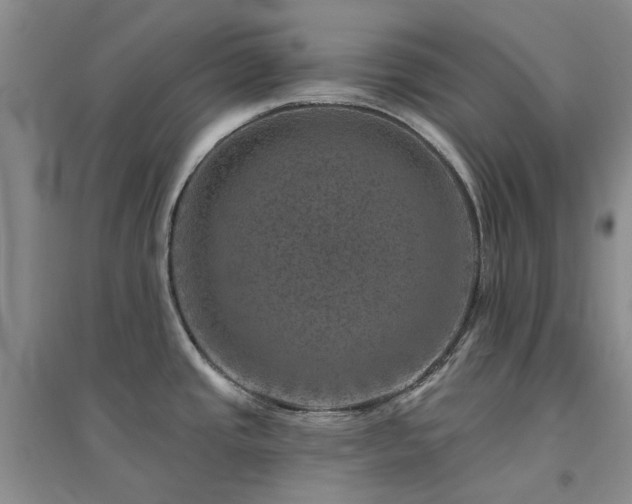 X0000094441437200711151354